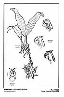  no thumbnail available