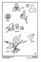  no thumbnail available