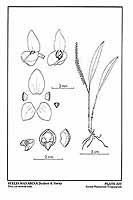  no thumbnail available