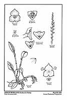  no thumbnail available