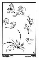  no thumbnail available