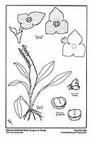  no thumbnail available