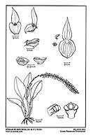  no thumbnail available