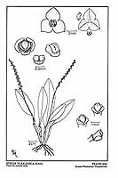  no thumbnail available