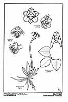  no thumbnail available