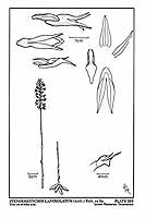  no thumbnail available