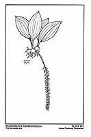  no thumbnail available