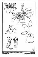  no thumbnail available