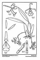  no thumbnail available