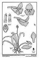  no thumbnail available