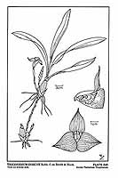  no thumbnail available