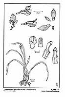  no thumbnail available