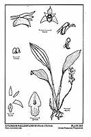  no thumbnail available