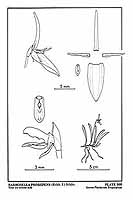  no thumbnail available