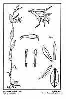  no thumbnail available