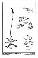  no thumbnail available