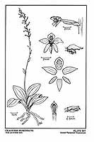  no thumbnail available