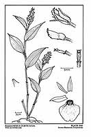  no thumbnail available