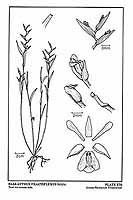  no thumbnail available