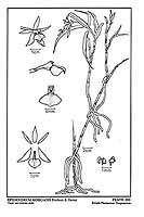  no thumbnail available