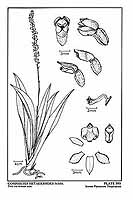  no thumbnail available