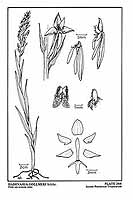  no thumbnail available