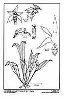  no thumbnail available