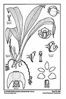  no thumbnail available