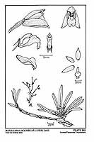  no thumbnail available