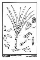  no thumbnail available