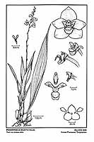  no thumbnail available