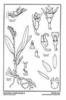  no thumbnail available