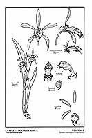  no thumbnail available