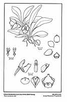  no thumbnail available