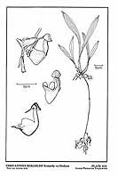  no thumbnail available