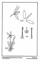  no thumbnail available