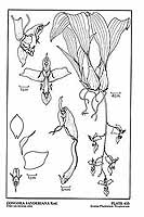  no thumbnail available