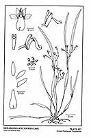  no thumbnail available