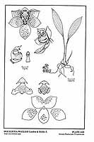  no thumbnail available