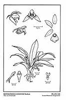  no thumbnail available