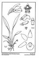  no thumbnail available