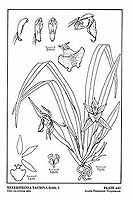  no thumbnail available