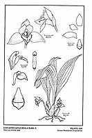  no thumbnail available