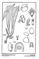  no thumbnail available