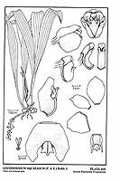  no thumbnail available