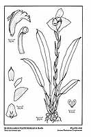  no thumbnail available