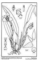  no thumbnail available