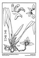  no thumbnail available