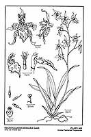  no thumbnail available