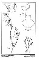  no thumbnail available